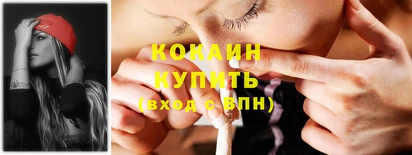 кокс Инсар