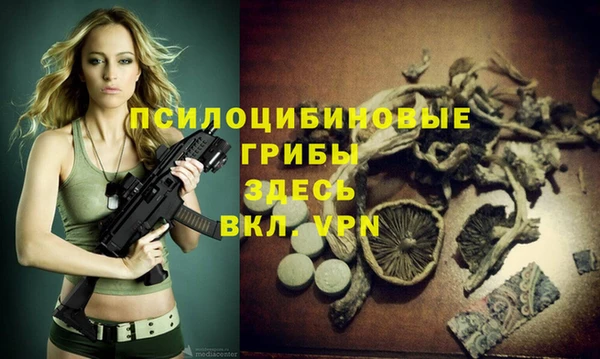 кокс Инсар